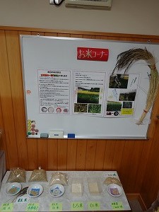 展示　米.jpg