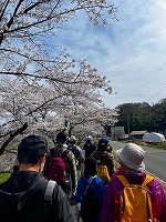 縮LINE_ALBUM_202447中山丘陵ハイキング_コミュニティ花壇_240407_17.jpg