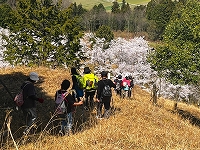 縮LINE_ALBUM_202447中山丘陵ハイキング_コミュニティ花壇_240407_56.jpg