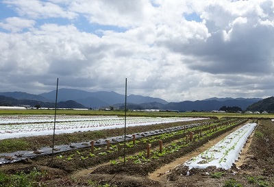 風景.jpg